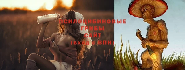 2c-b Бронницы